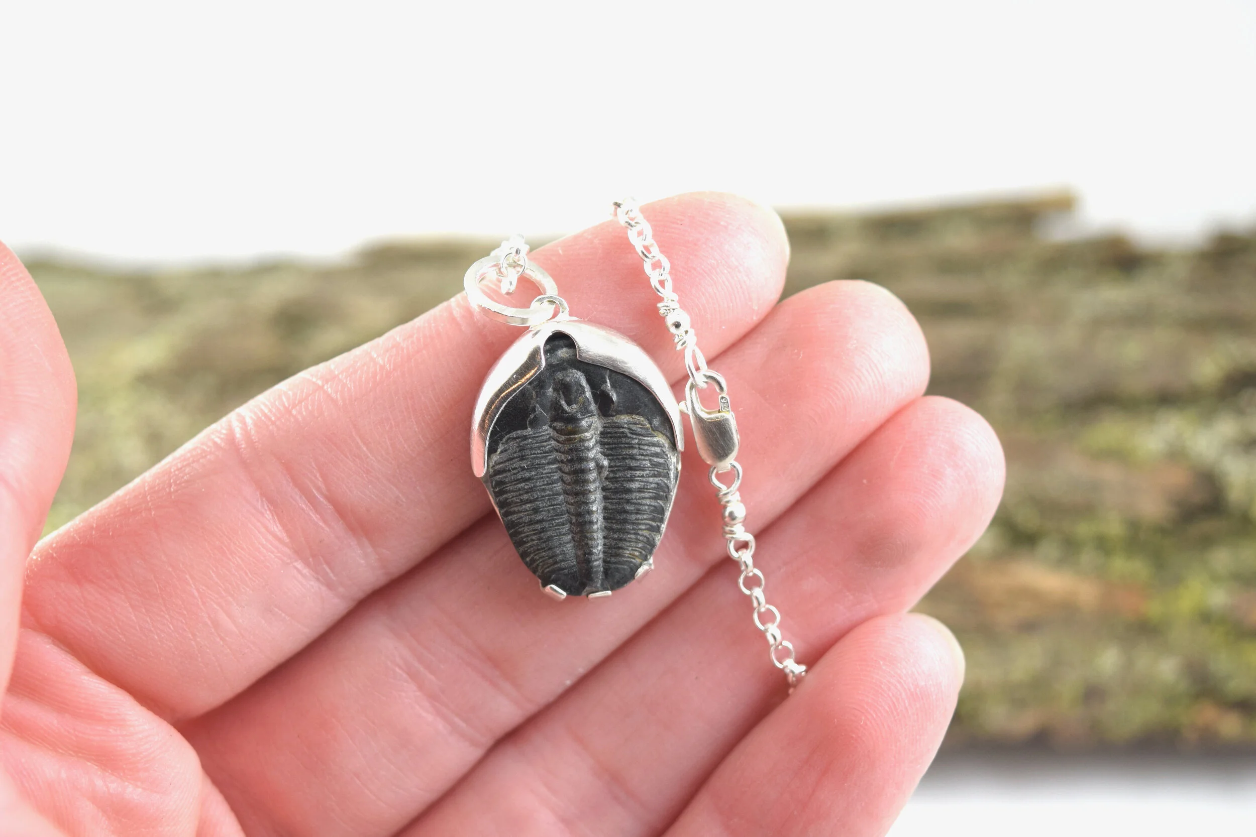 Trilobite pendant hot sale